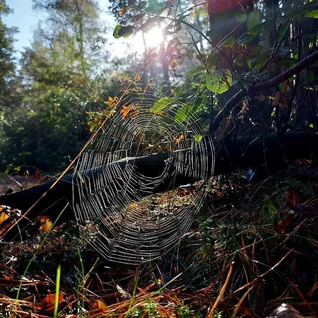 Σπίτι διακοπών Mar Veluwe