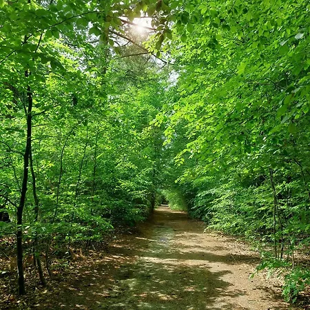 Mar Veluwe Σπίτι διακοπών Ermelo