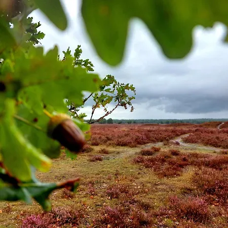 Mar Veluwe * Ermelo
