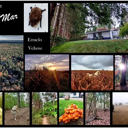 Mar Veluwe Ermelo