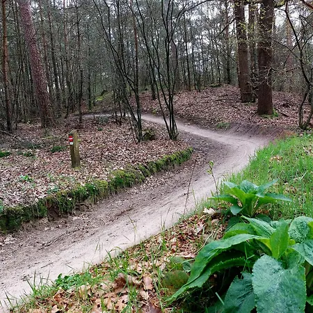 Holiday home Mar Veluwe Ermelo