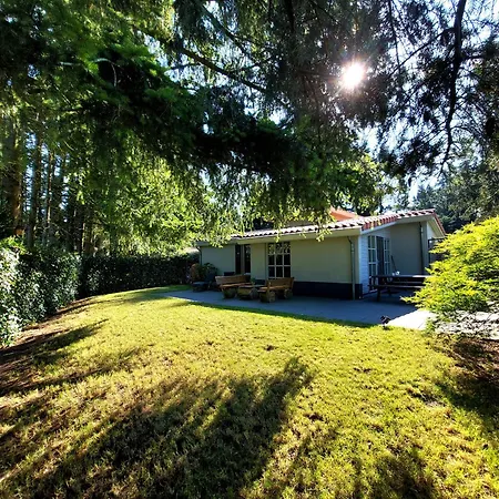 Mar Veluwe * Ermelo