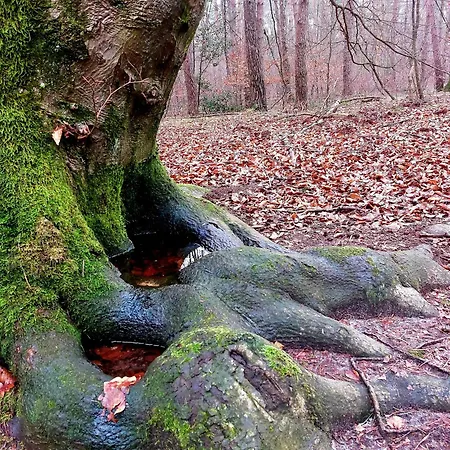 Σπίτι διακοπών Mar Veluwe Ermelo
